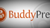 buddypresslogo-teaser (2)