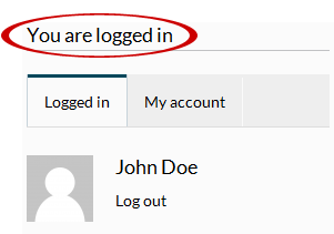 Login - content after